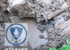 凤泉区水管漏水检测公司5